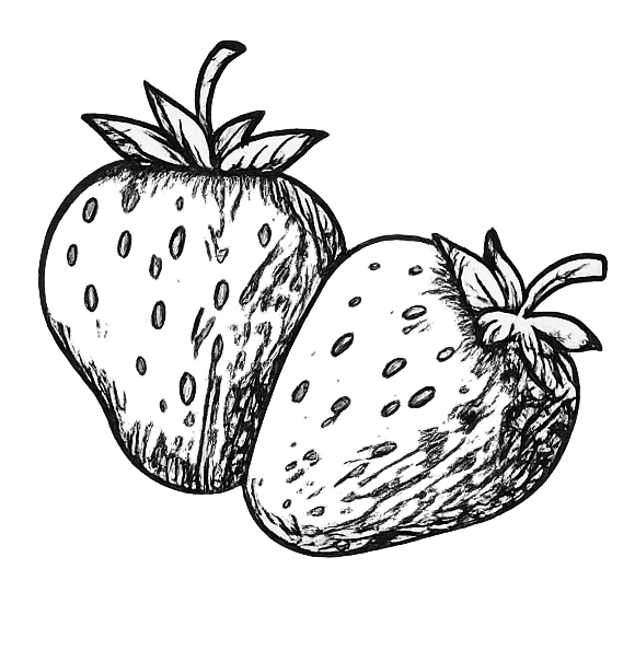 Strawberry Codes Logo